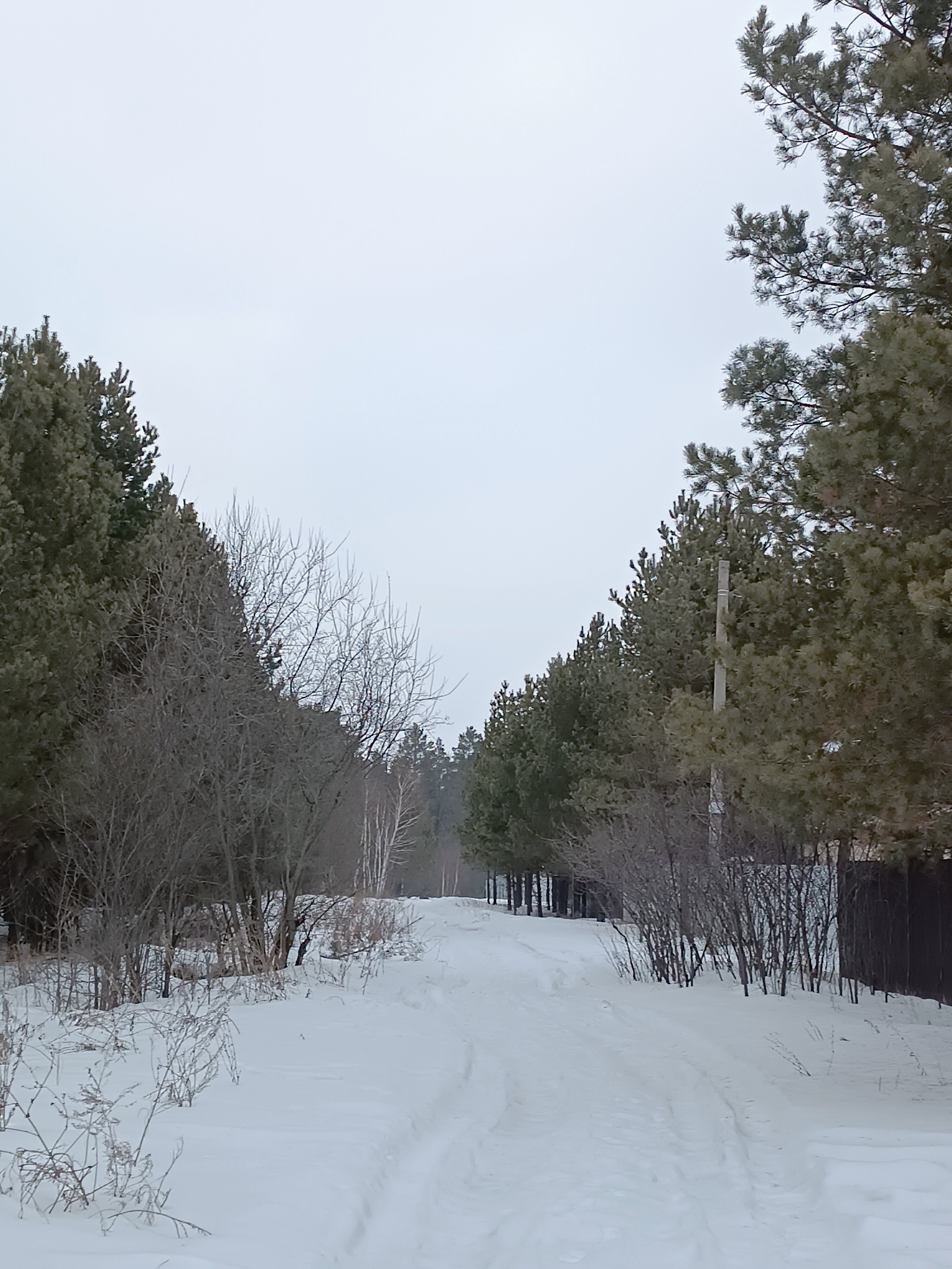 Фото Дом с душой