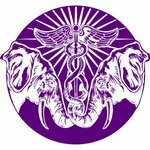 Массажно-остеопатический центр (Москва, поселение Сосенское, бульвар Веласкеса, 1, корп. 1), остеопатия, мануальная терапия в Москве