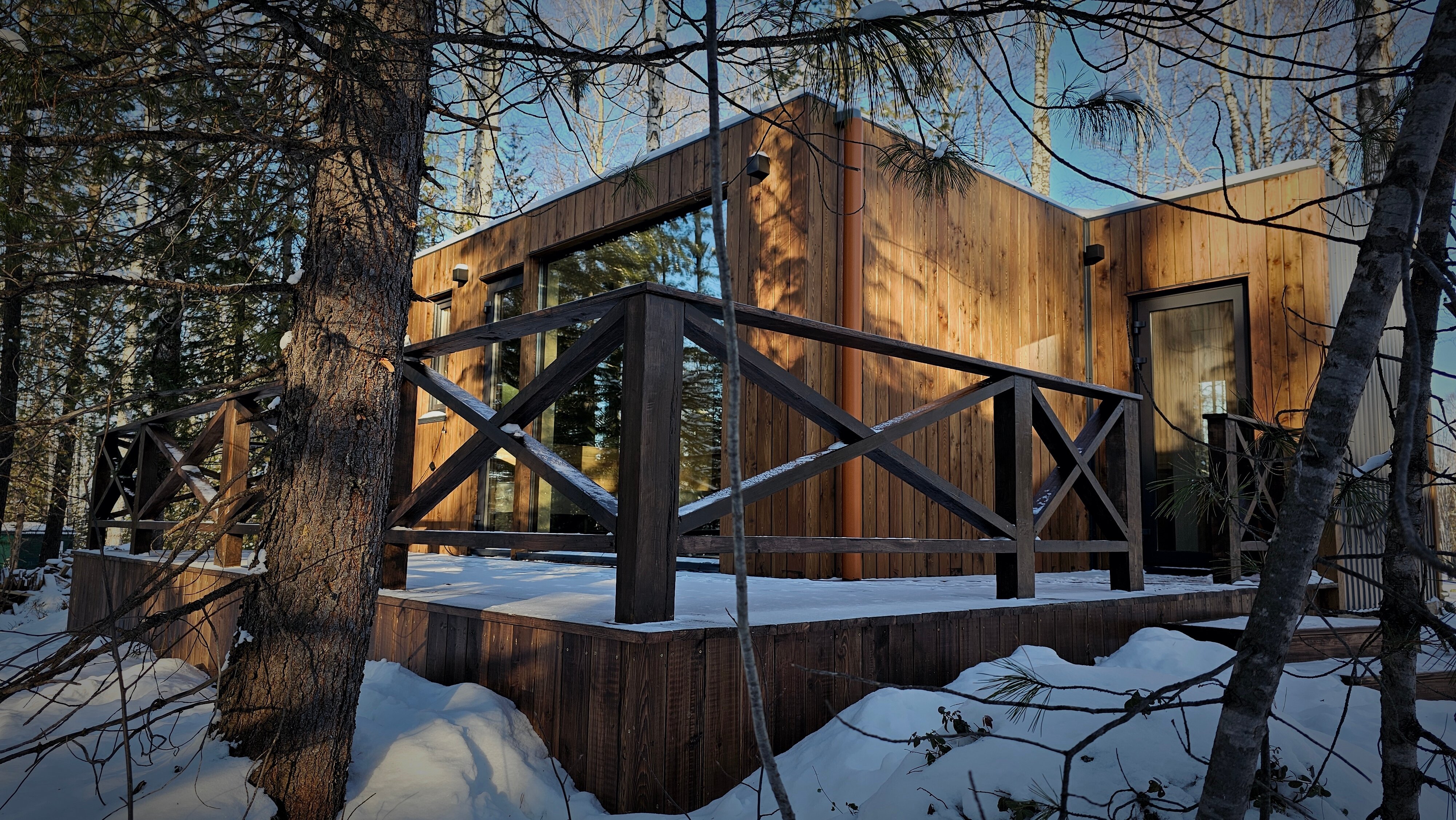 Фото Снежные Гуси