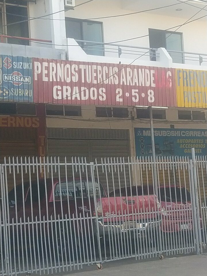 Auto parts and auto goods store Frenos Nuts, Santa Cruz de la Sierra, photo