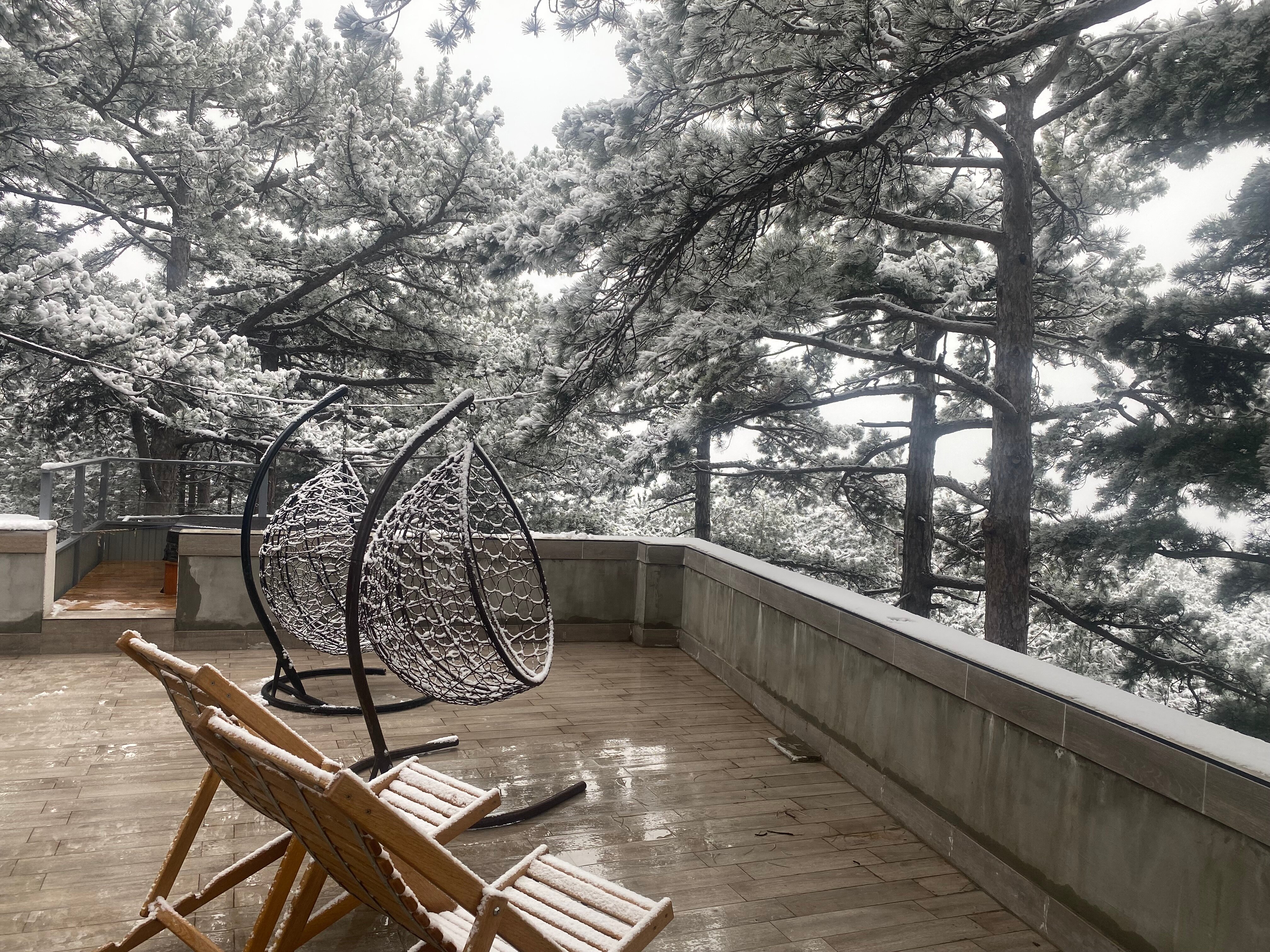 Фото Леший Ялта