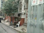Asia Black Sea Coffeehouse (Istanbul, Sisli, Inonu Neighborhood, Turna Street, 13A) ، نادي الألعاب