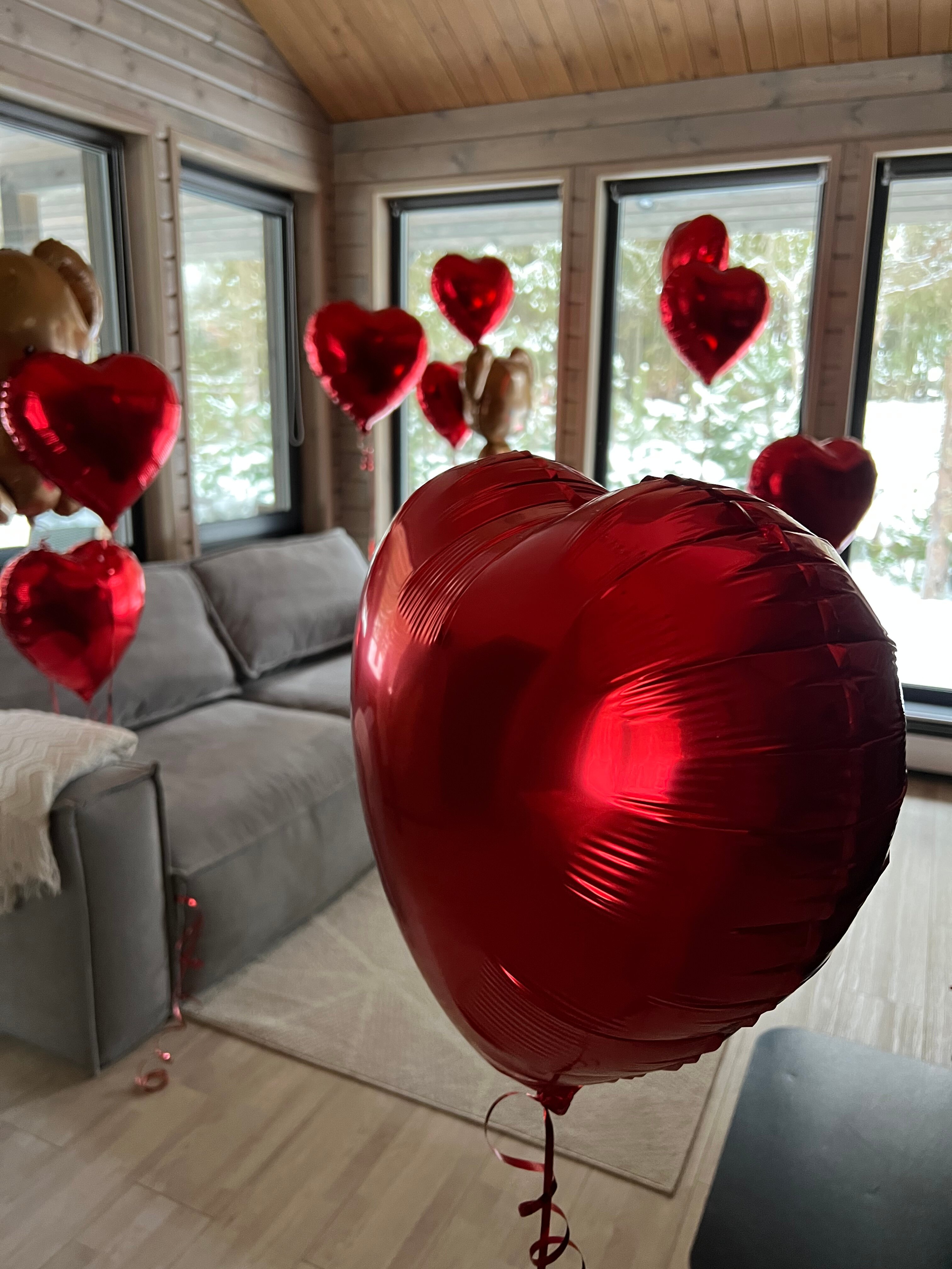 Фото Smell Of The Forest