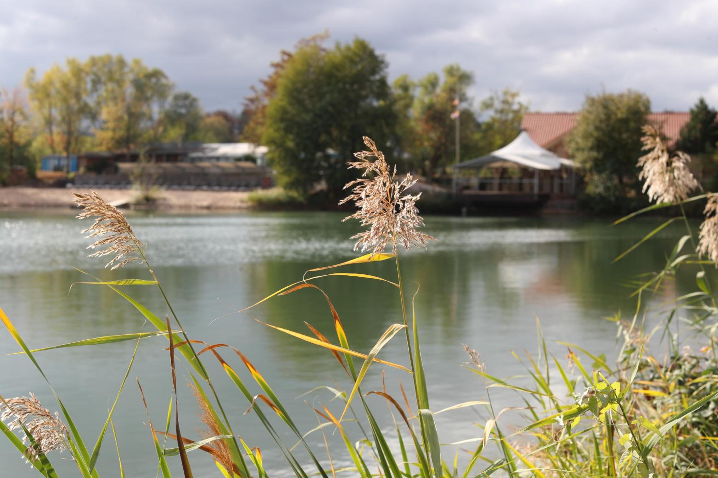 Фото Seehotel Niedernberg - Das Dorf am See