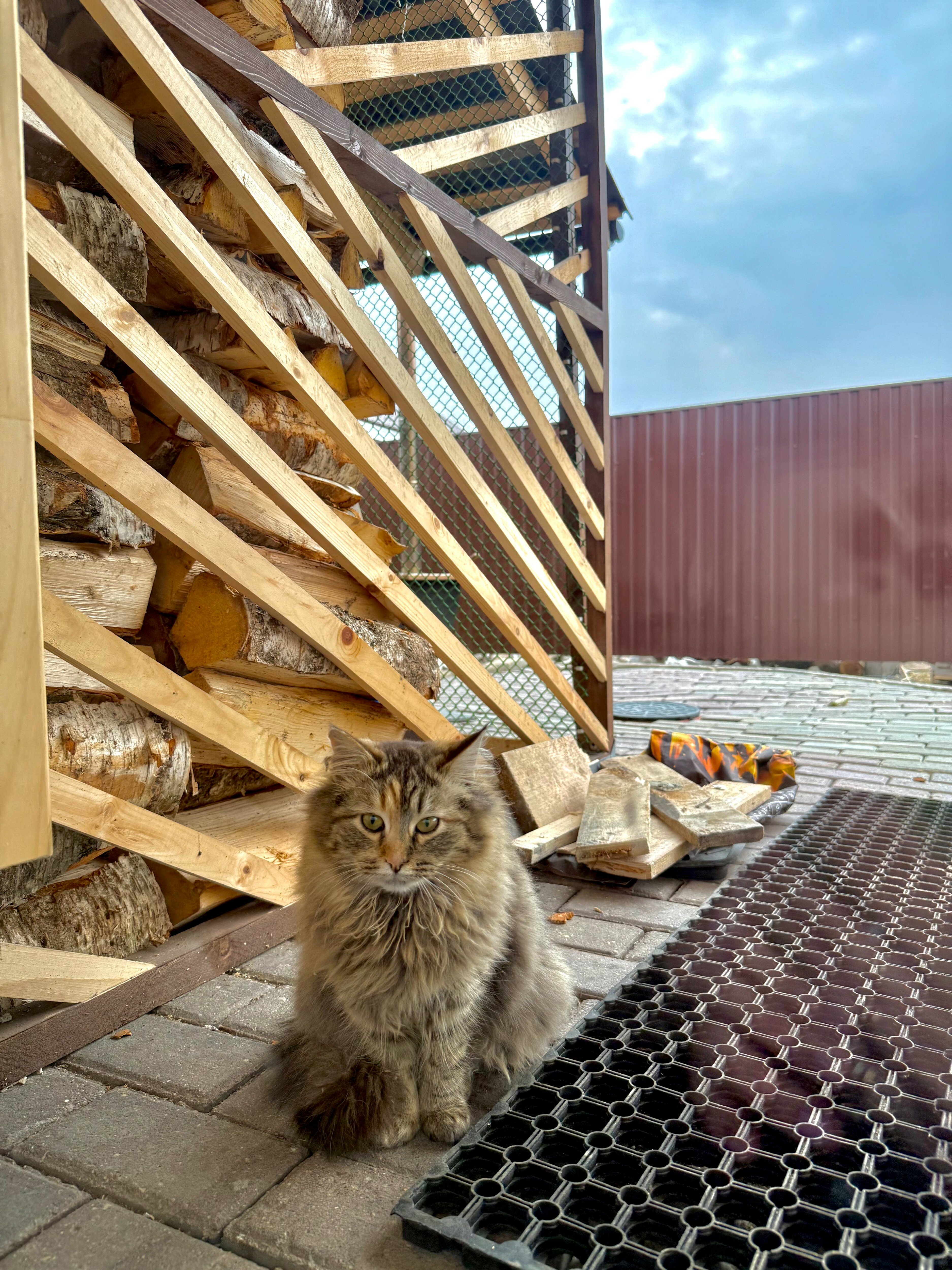 Фото Дурыкино House