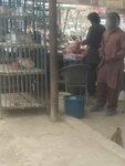 Tariq chicken shop (Province of Punjab, Rawalpindi, Gulrez Housing Scheme, Gulrez-2), egg and poultry meat