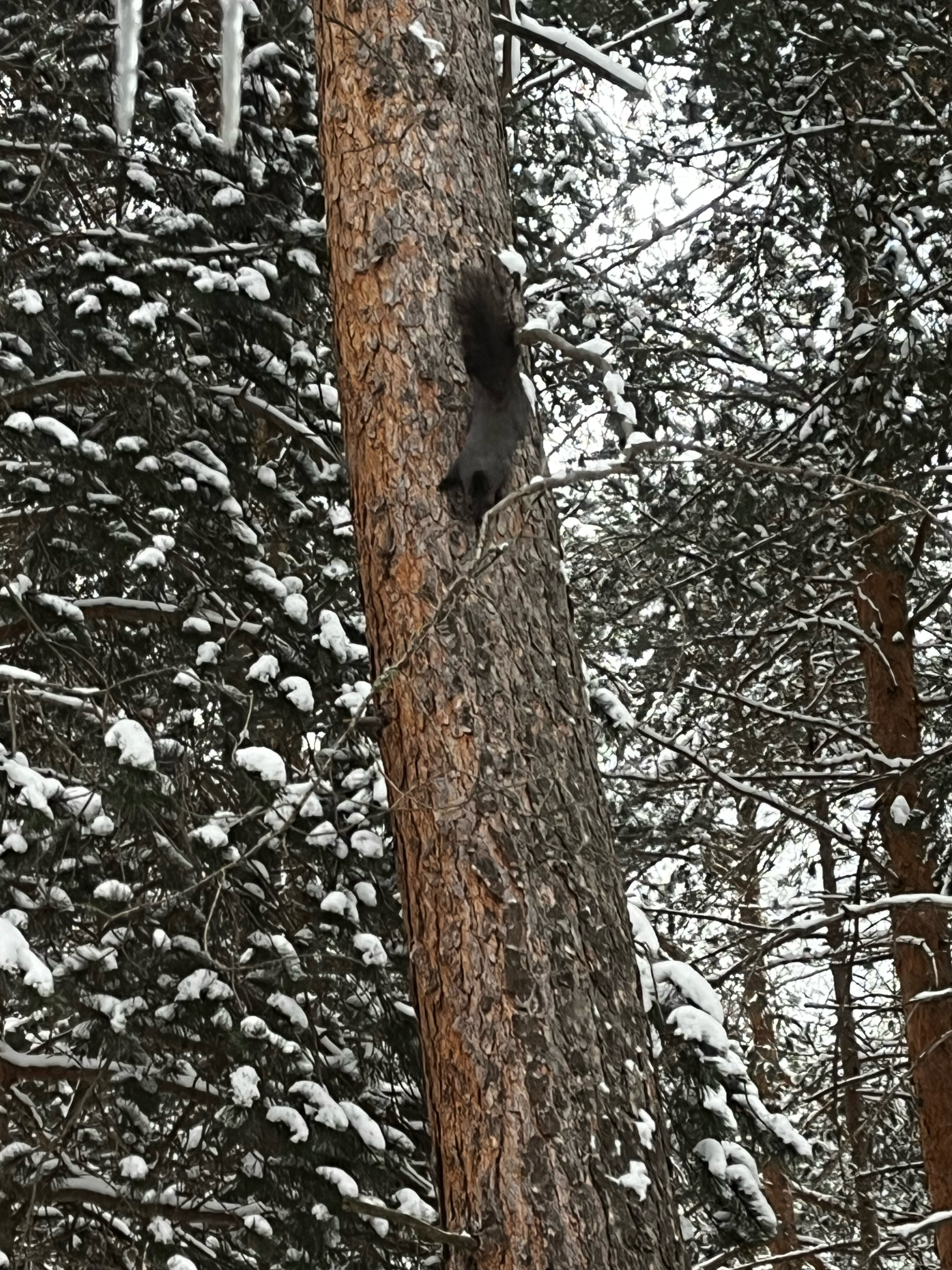 Фото Dom Eco-Hotel