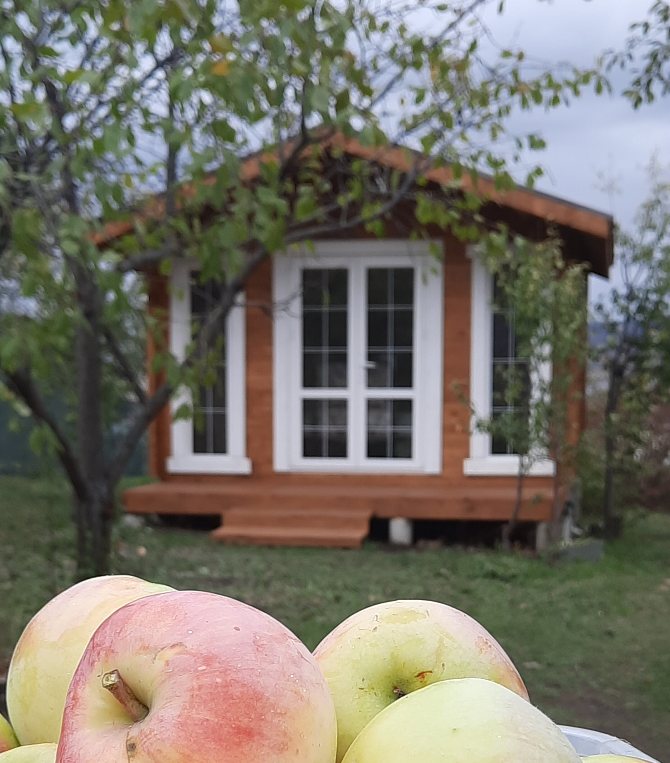 Фото Дом Жар-Птицы