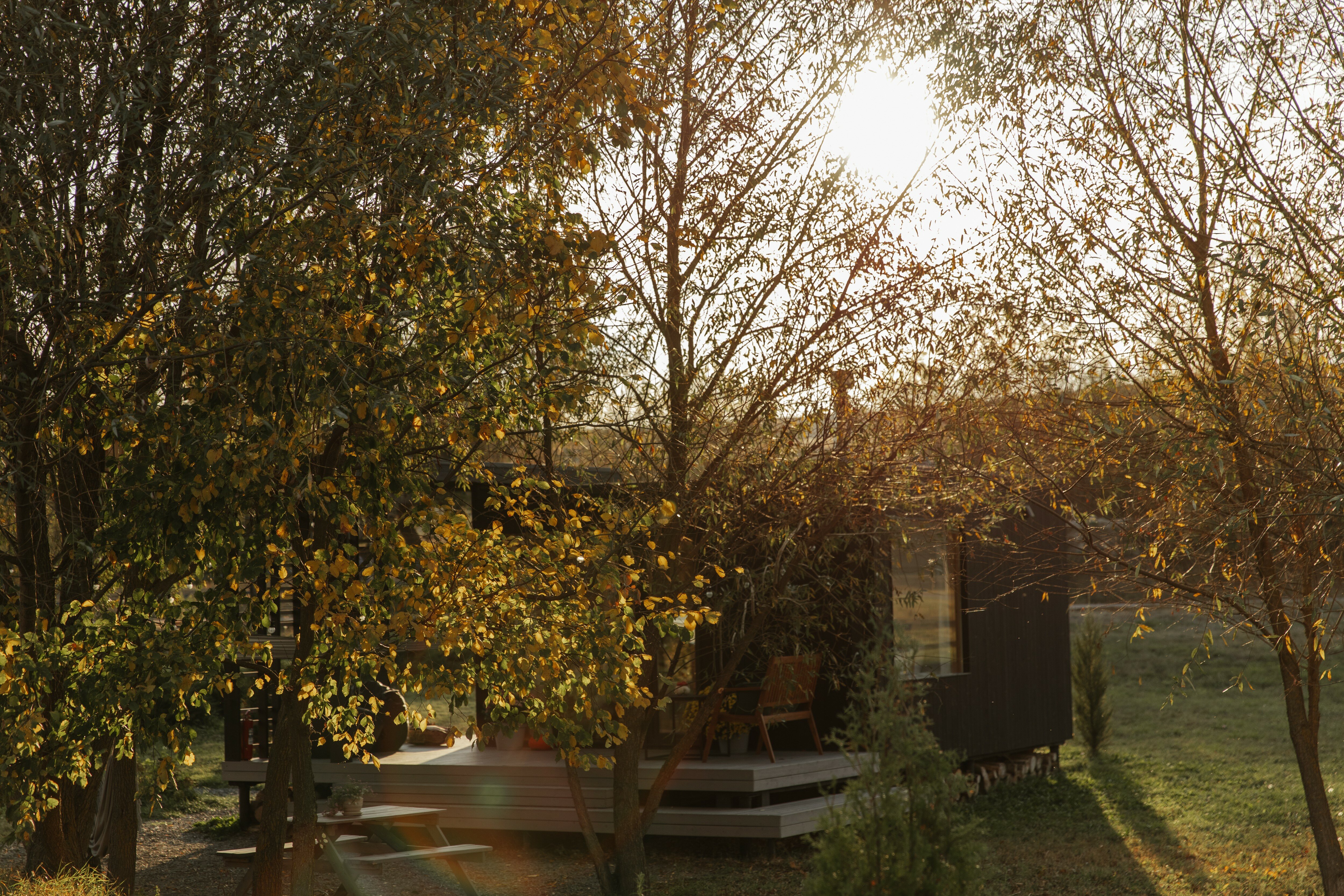 Фото Холки camp