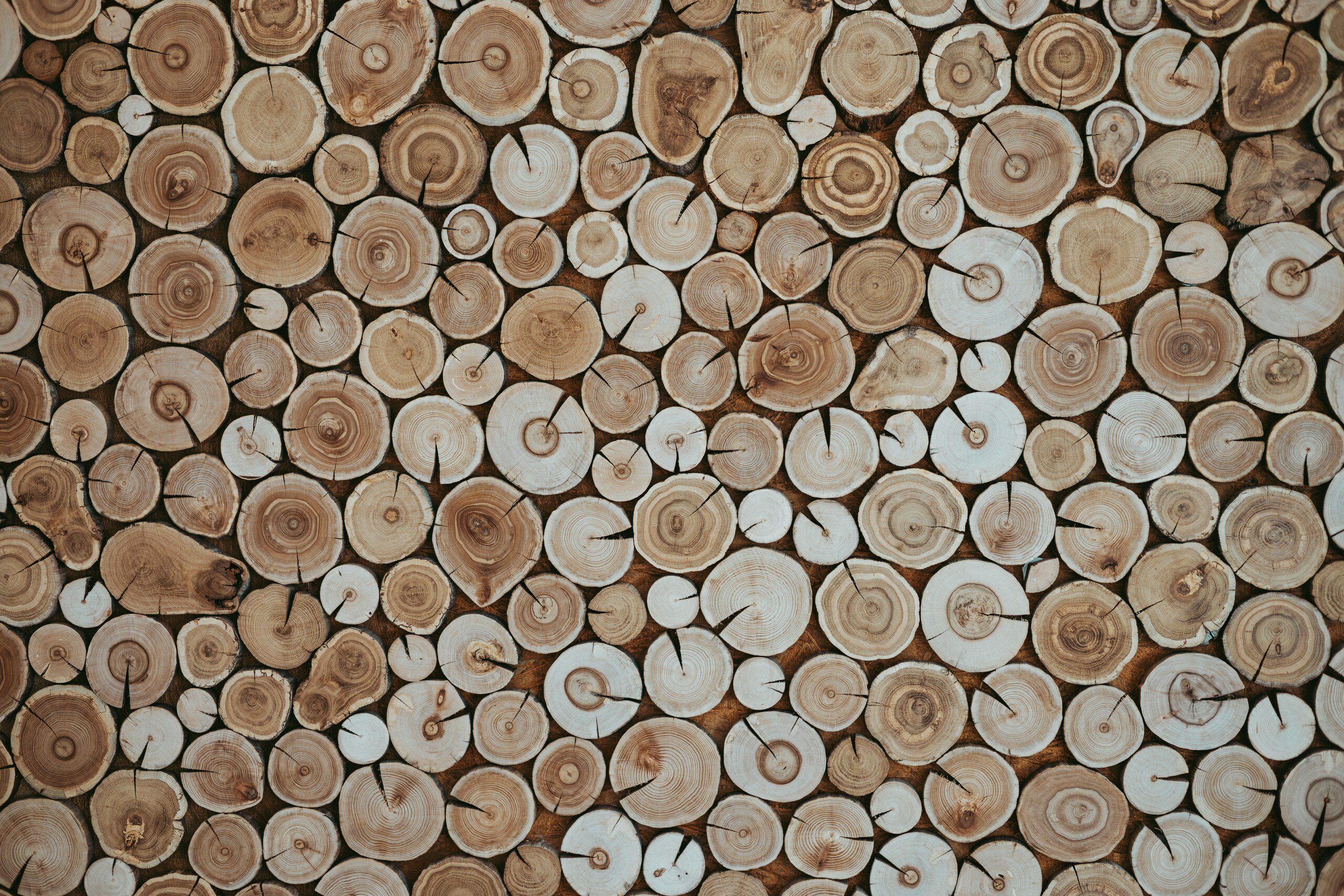 Фото Биография