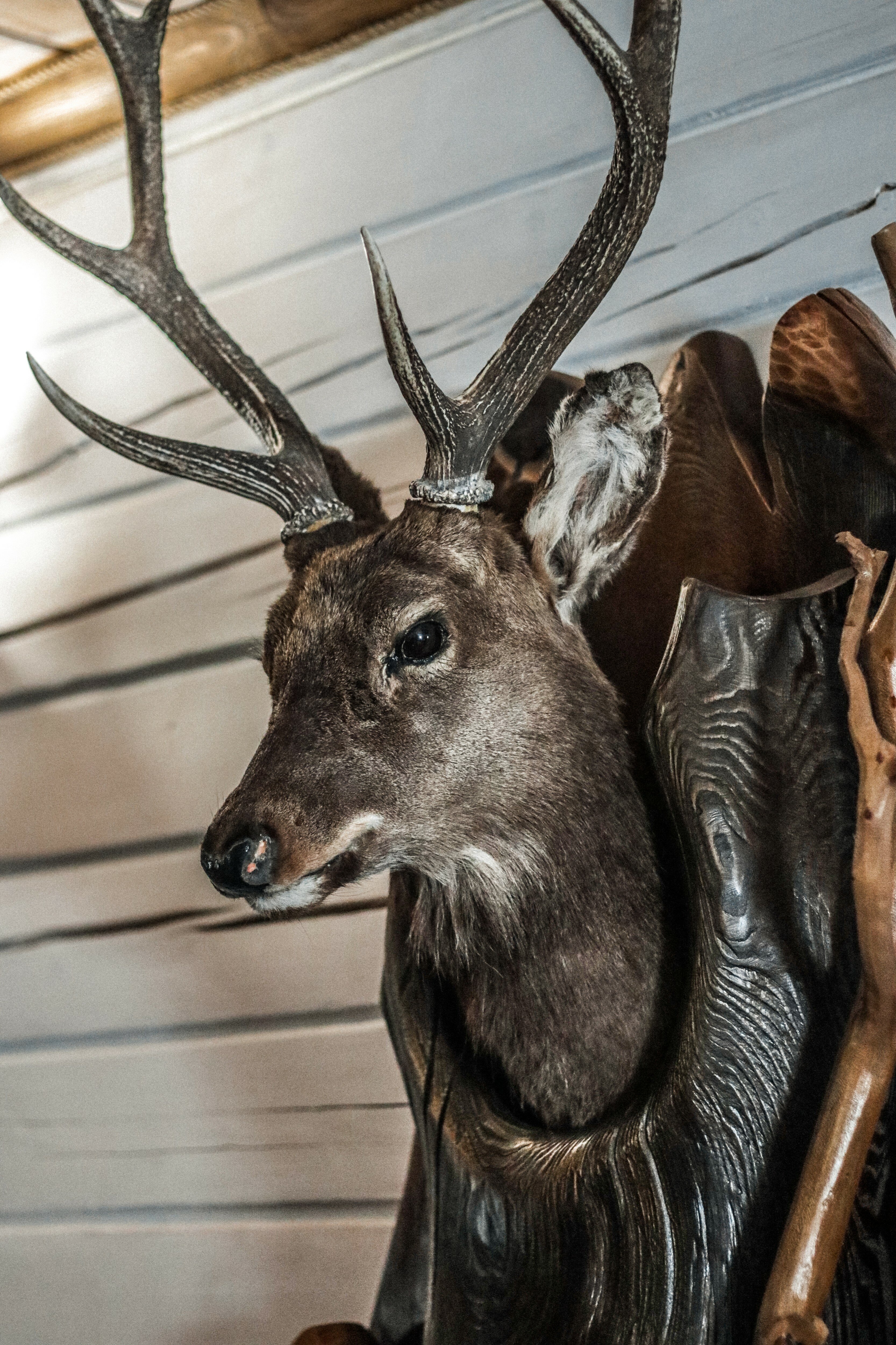 Фото SPA-Курорт Кедровый