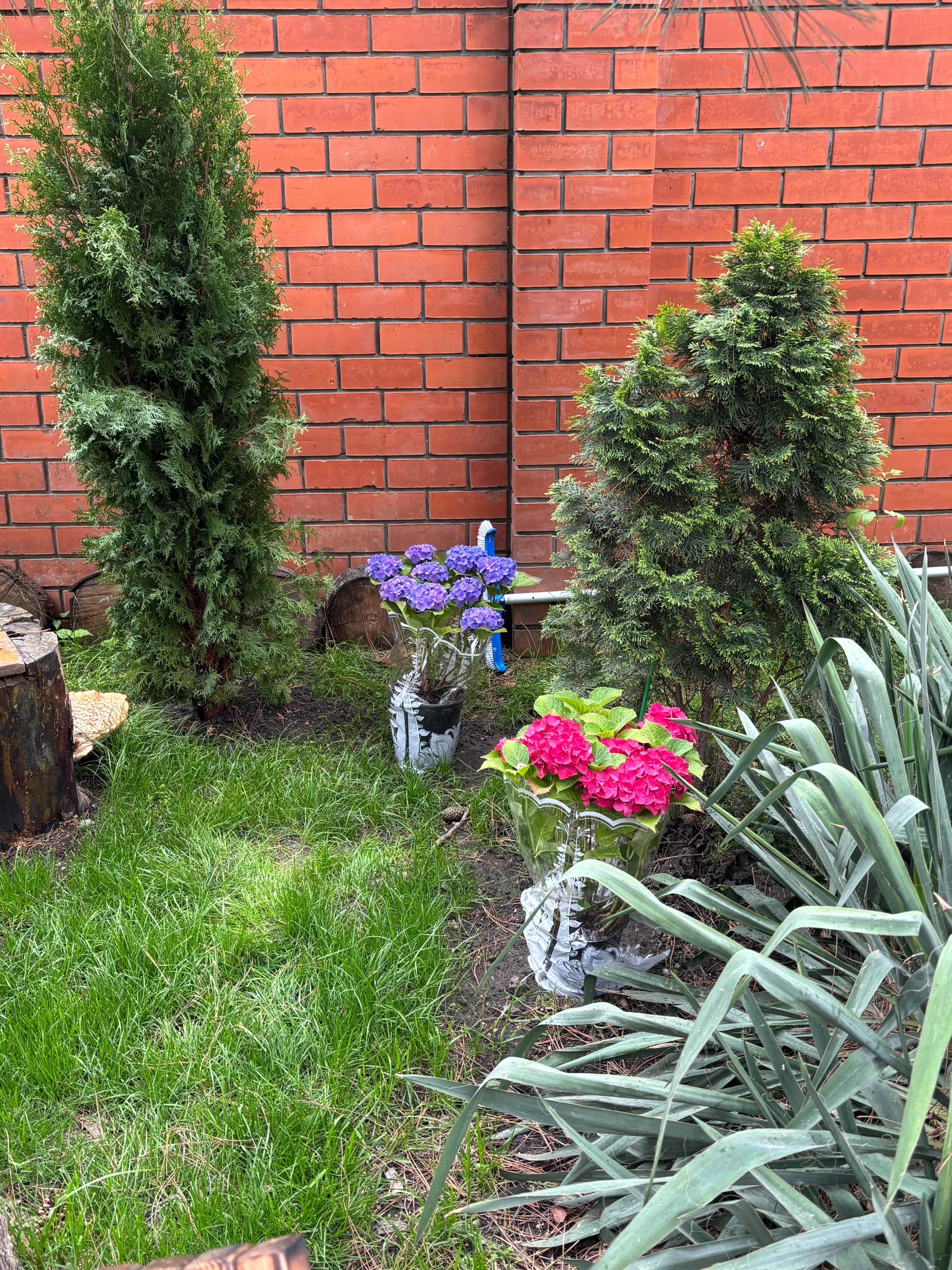 Фото Усадьба Новознаменская