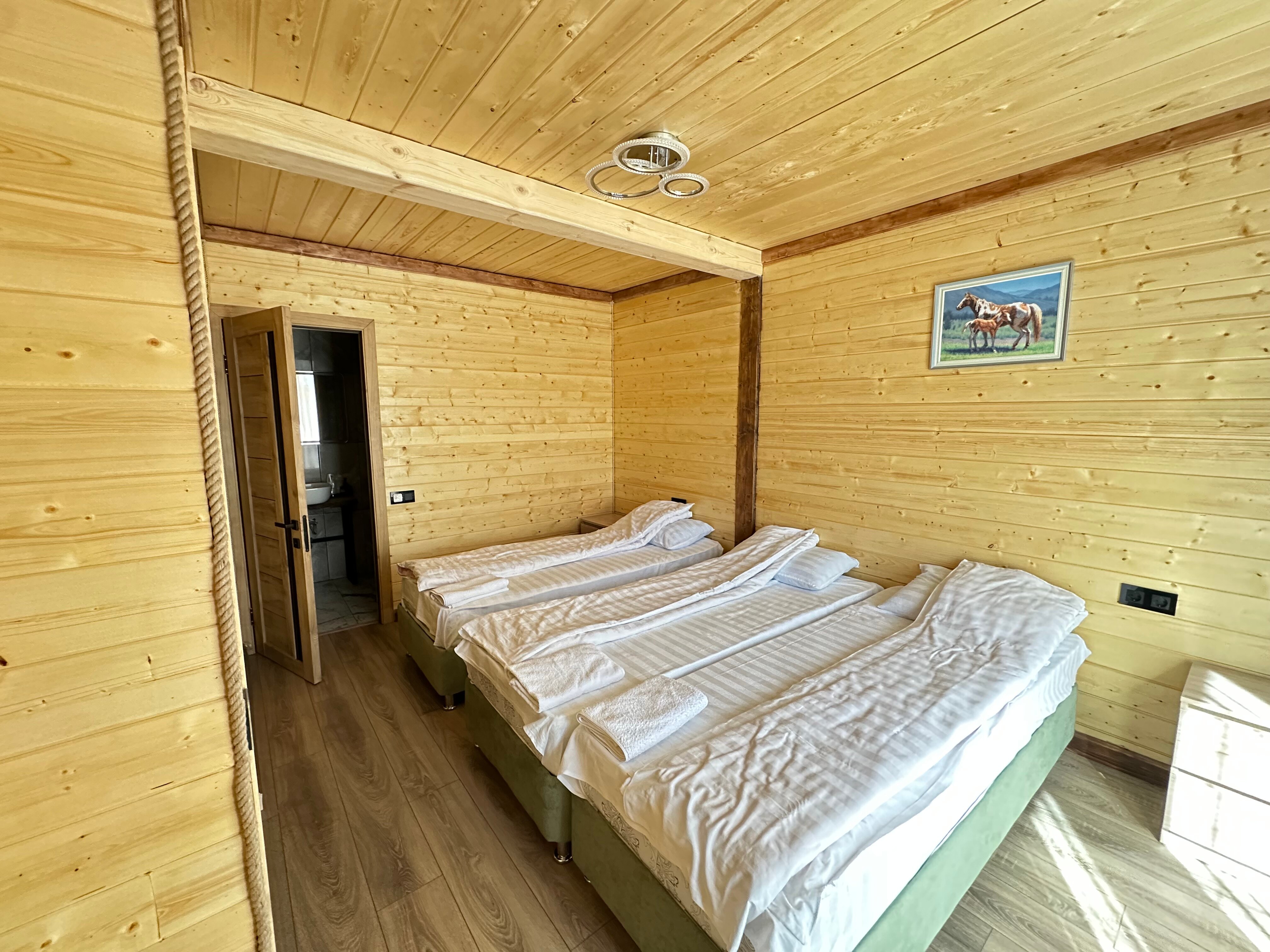 Фото 3 сосны