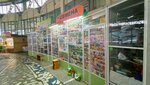 Семена (Komsomolskaya Street, 62) ، متجر البذور