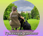 Humane Dog Handler (mikrorayon Zavod Izmeritelnykh Priborov, Zipovskaya Street, 68), canine service