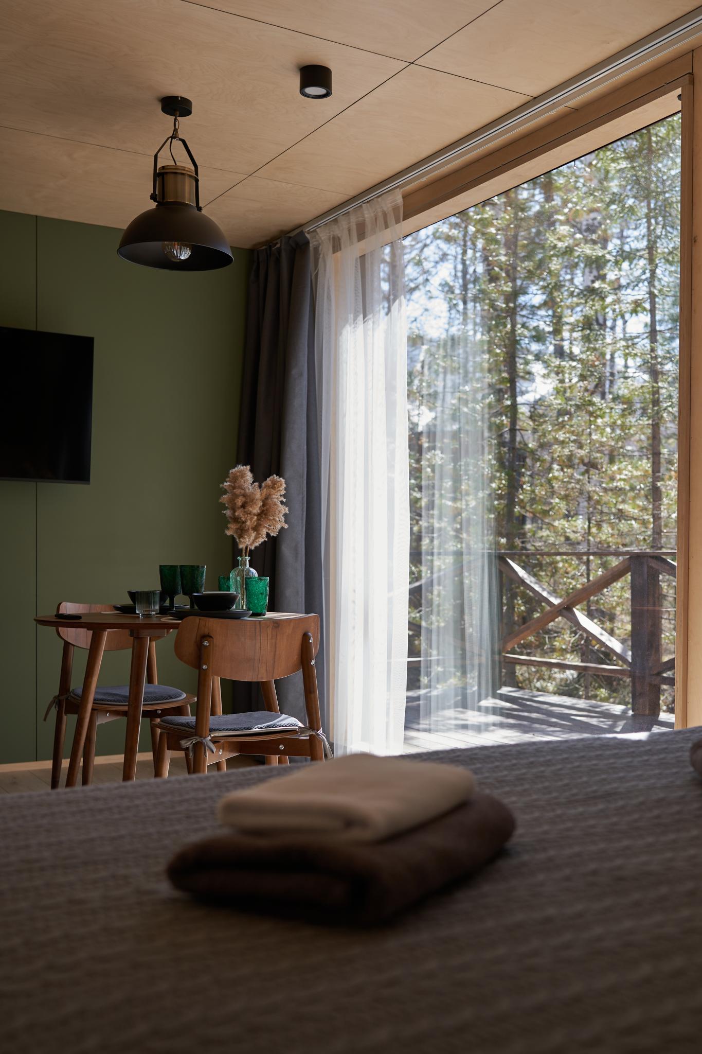 Фото Снежные Гуси