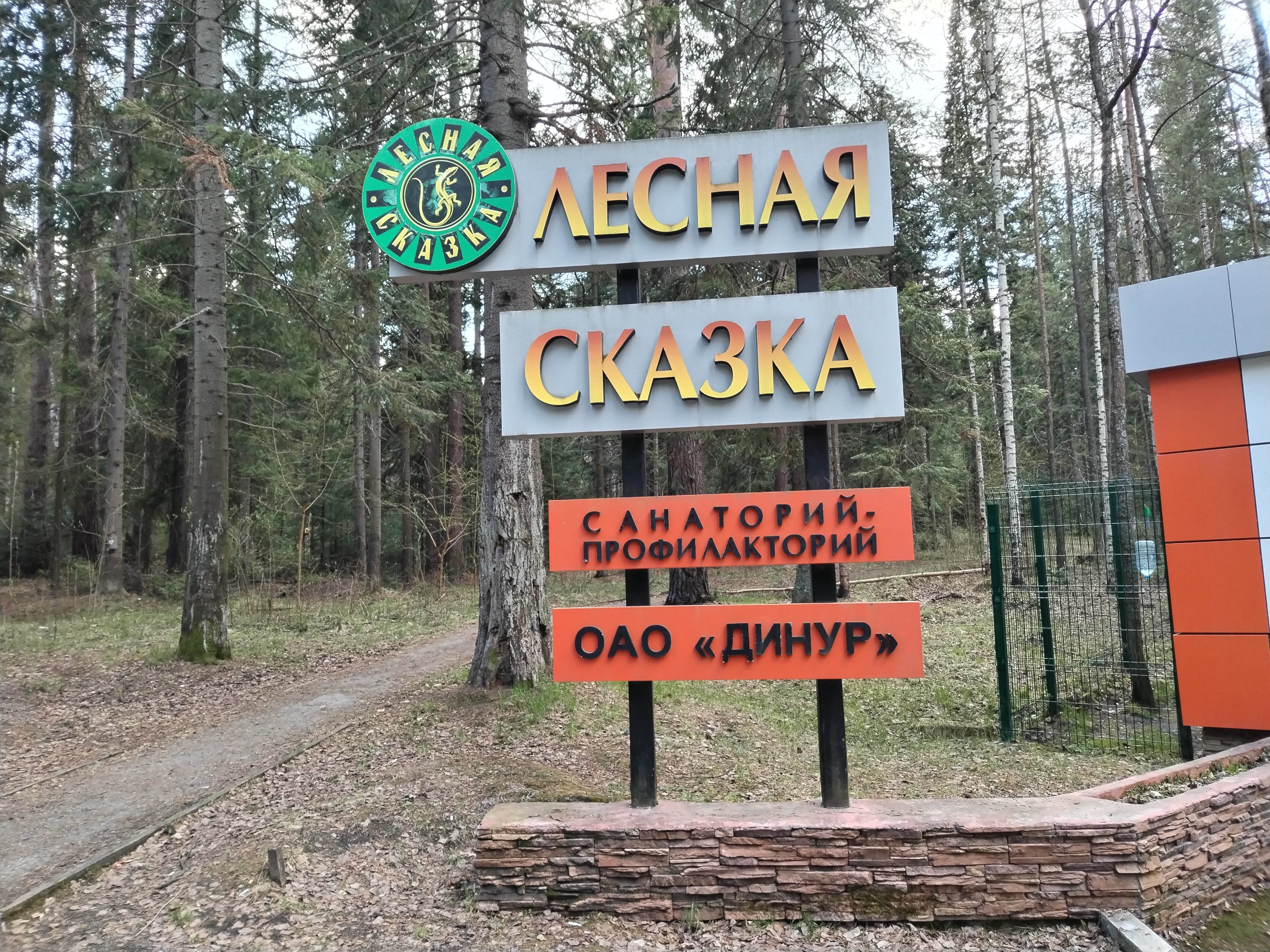 Фото Лесная сказка