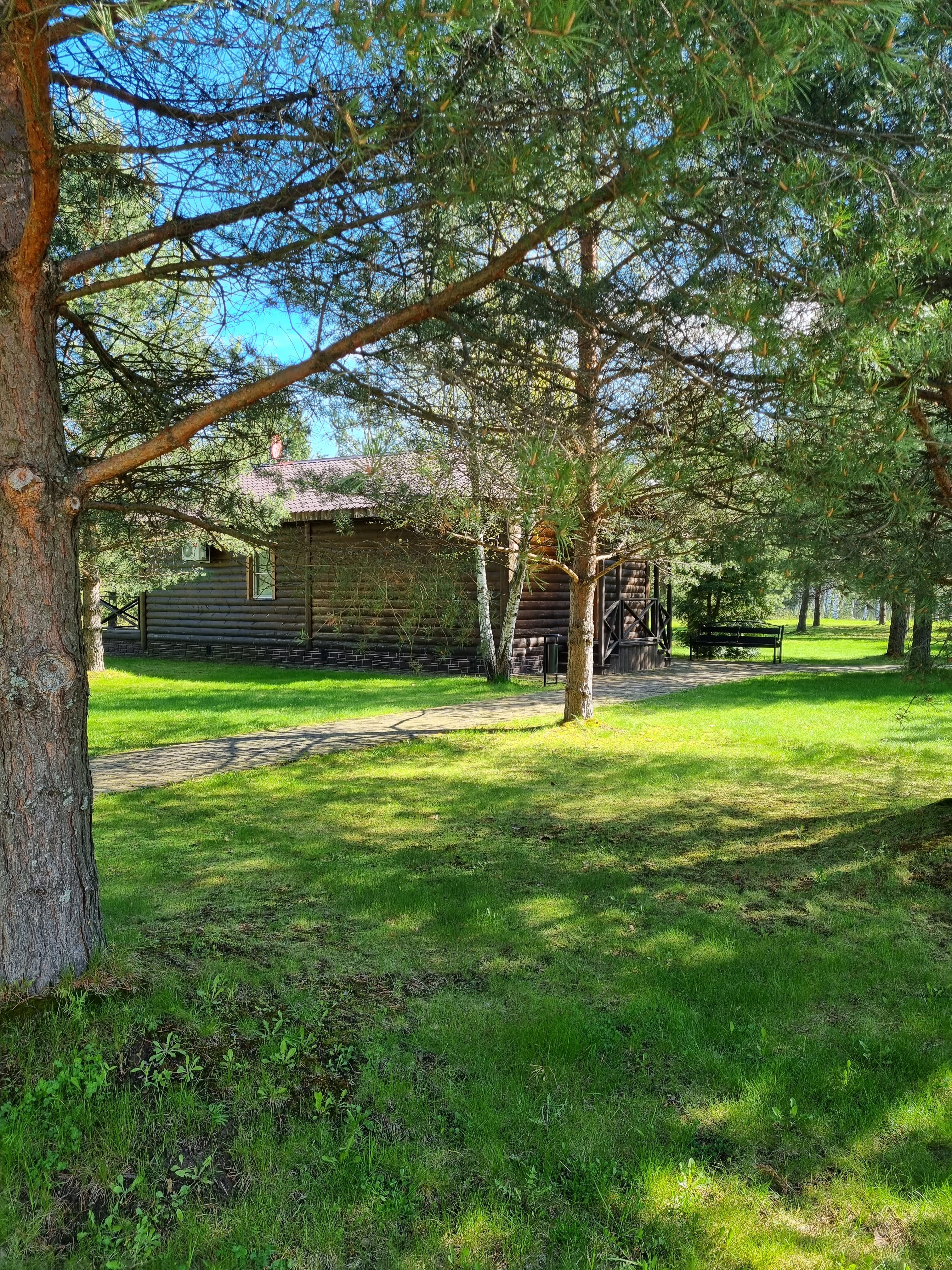 Фото На Чеснаве