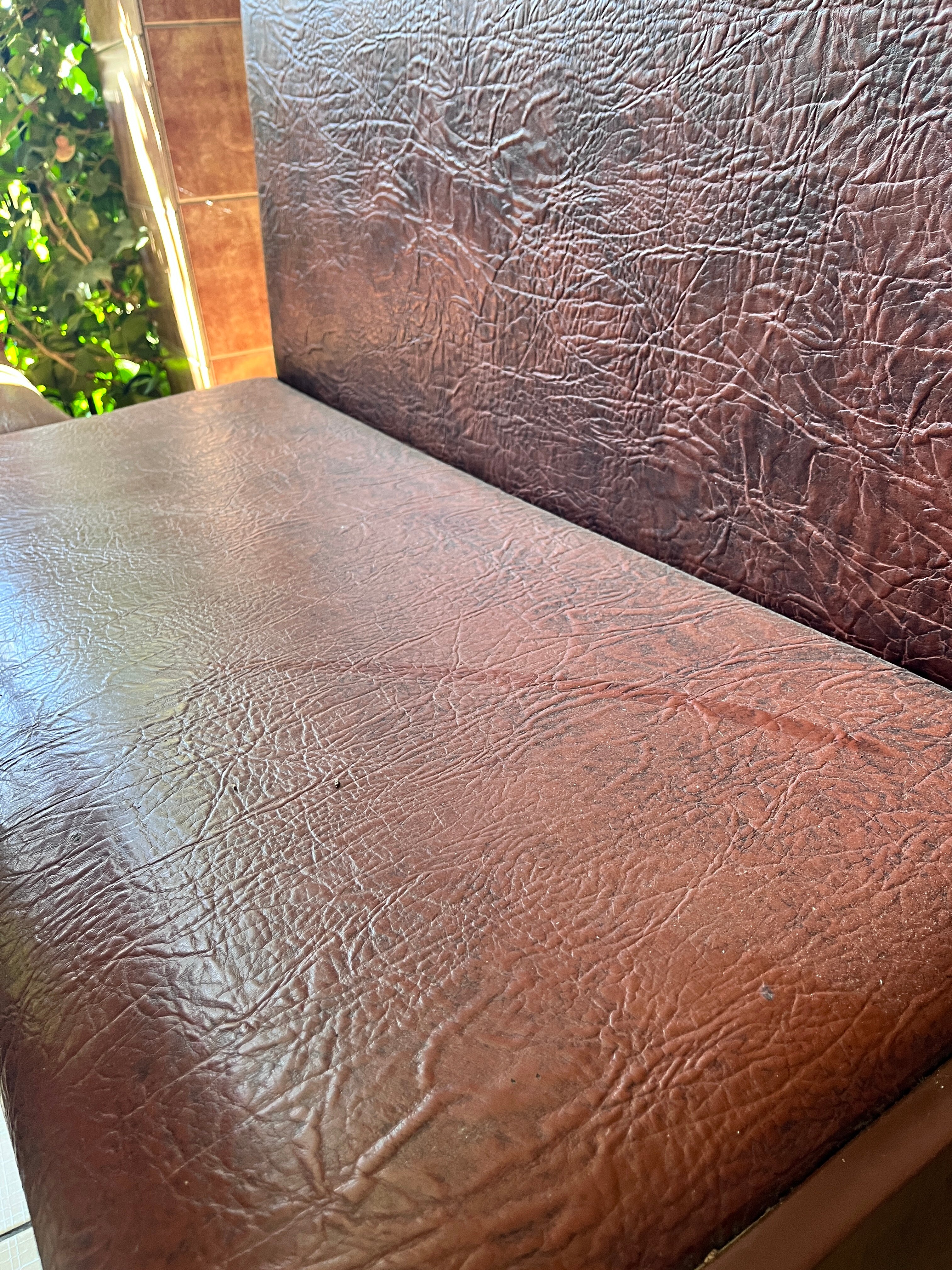 Фото Лилия-1