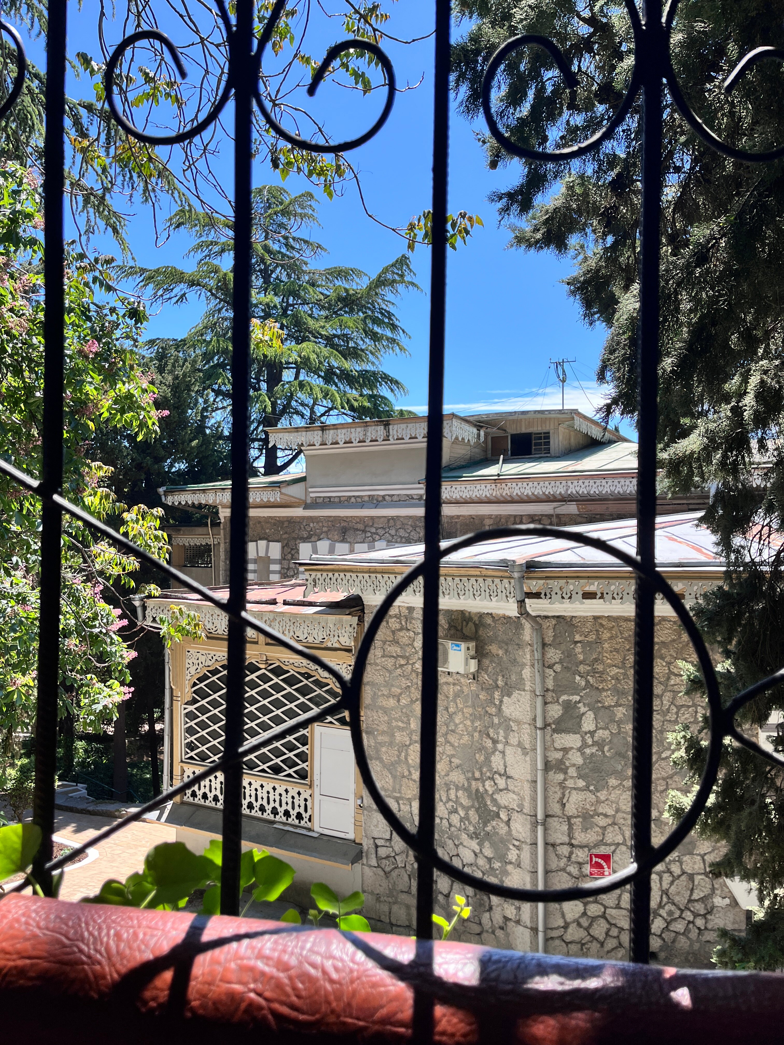 Фото Лилия-1