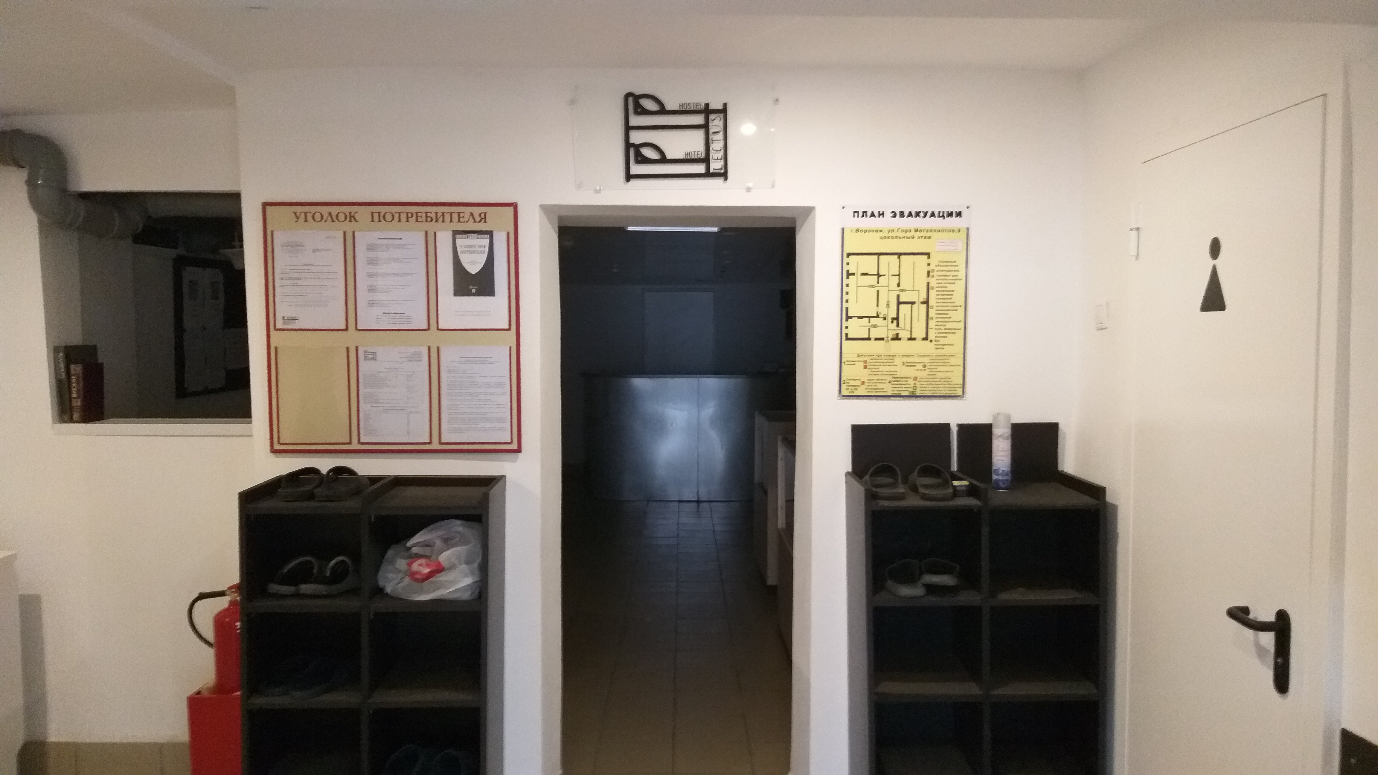 Фото Лектус