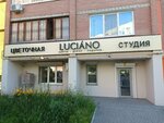 Luciano (22 Partsyezda Street, 198) ، محل زهور