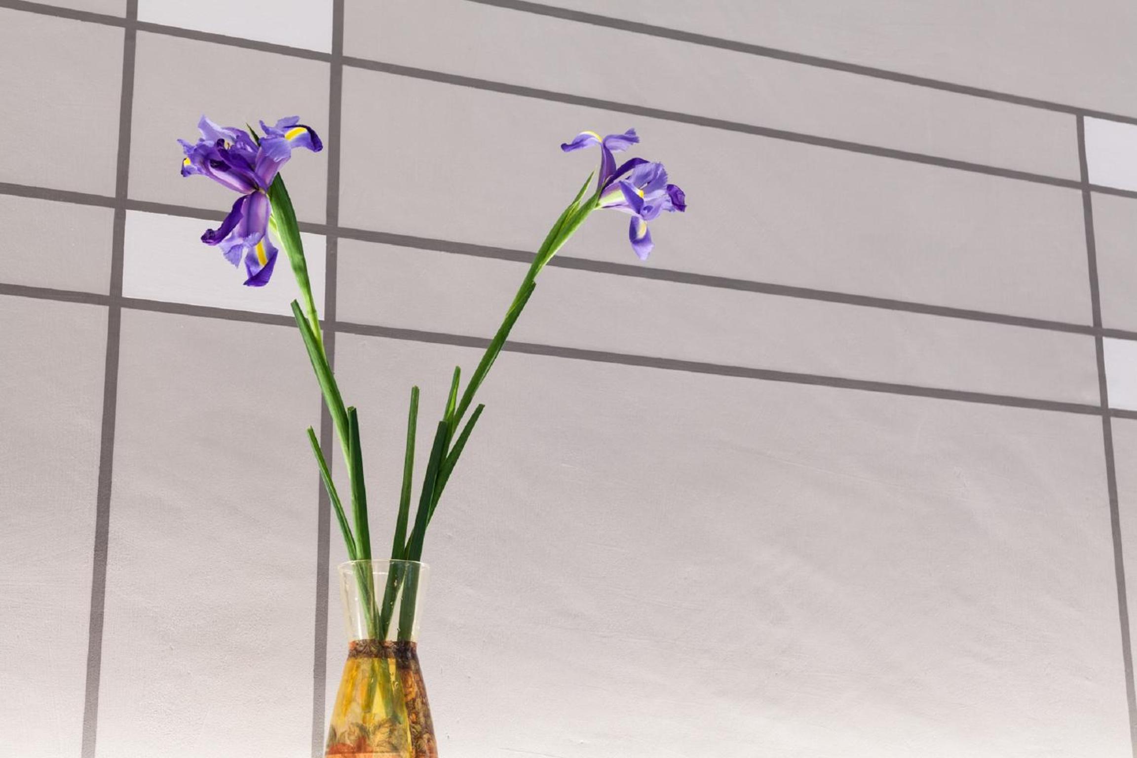 Фото Palazzo dei Ciompi