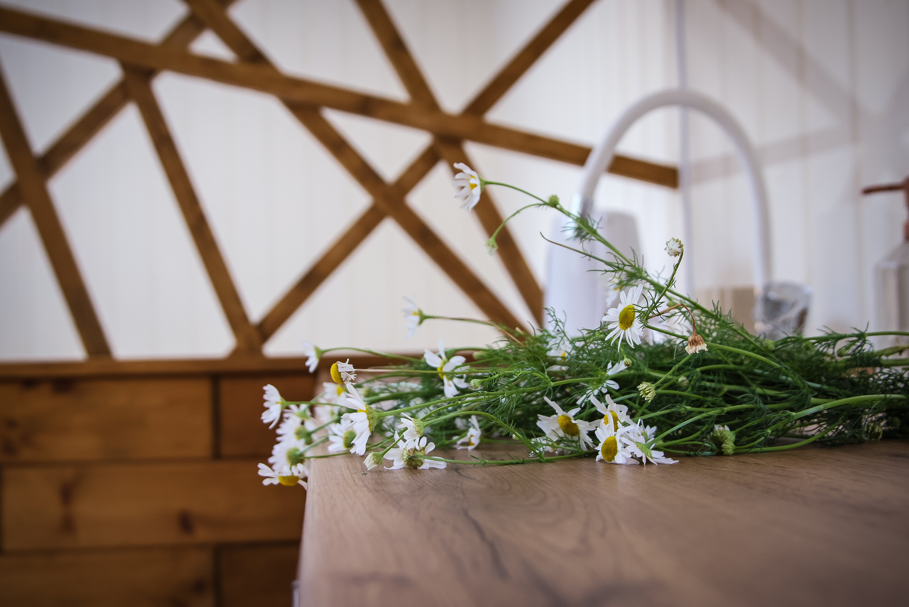 Фото Элемент Алтая