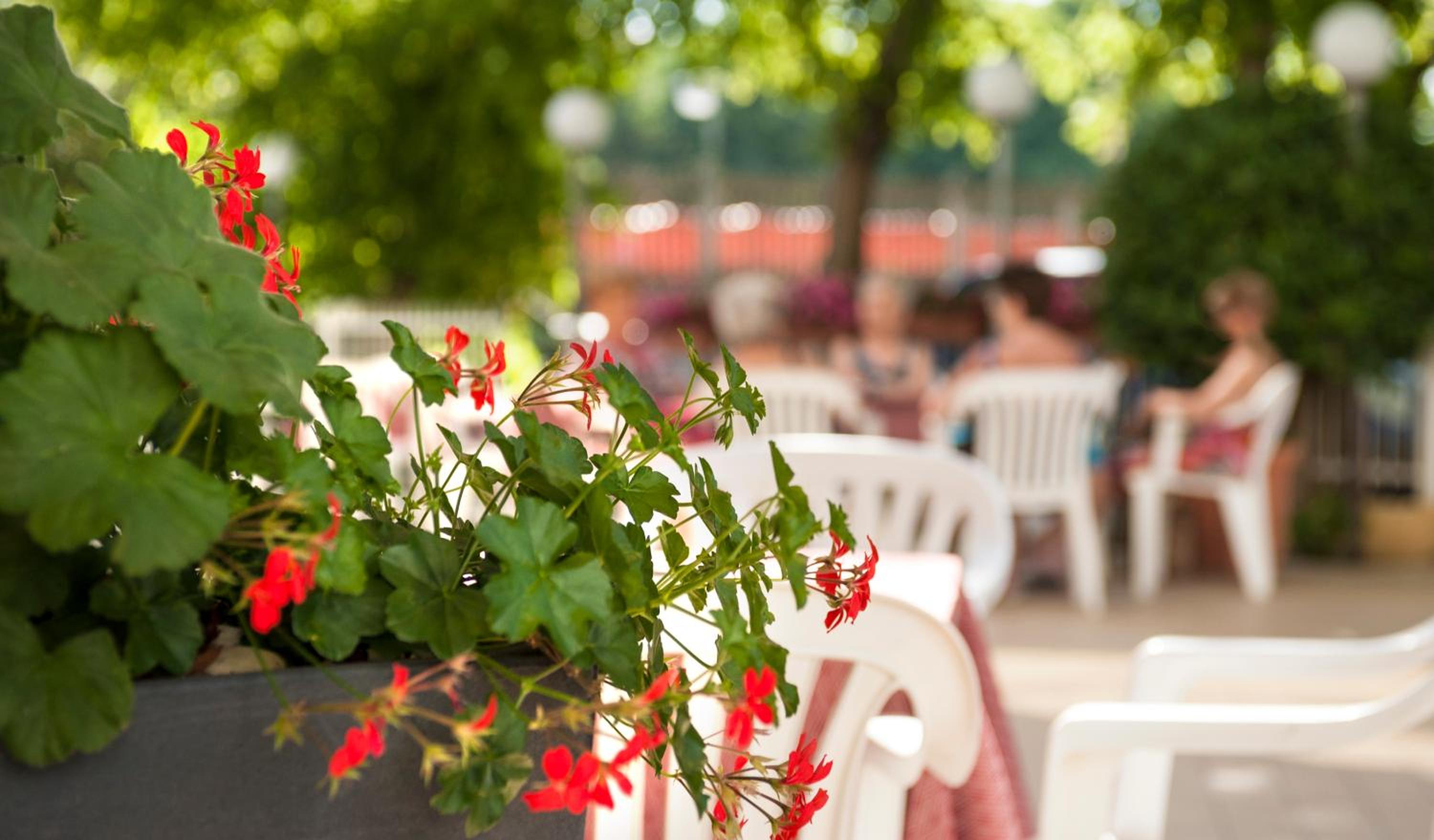 Фото Hotel Sandra