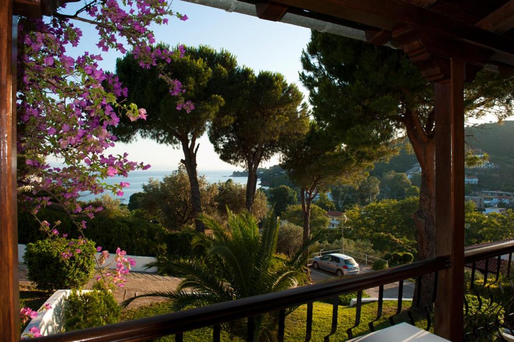 Фото Villa Anna Maria