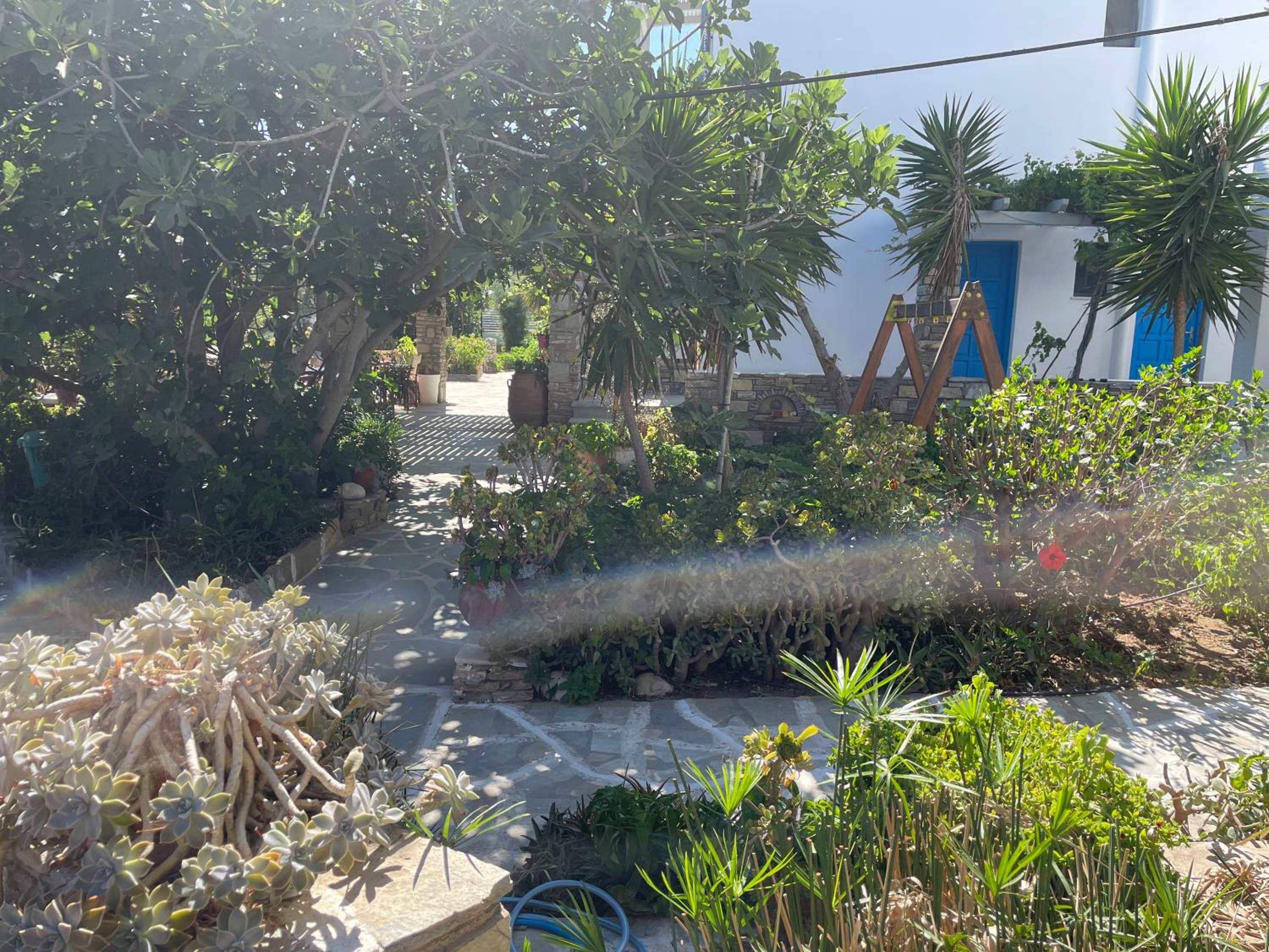 Фото Ioanna Apartments