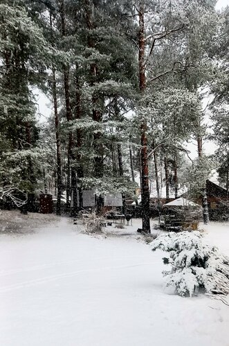 Внешний вид отеля Дом у сосен в городском поселении Пушкиногорье, фото 3