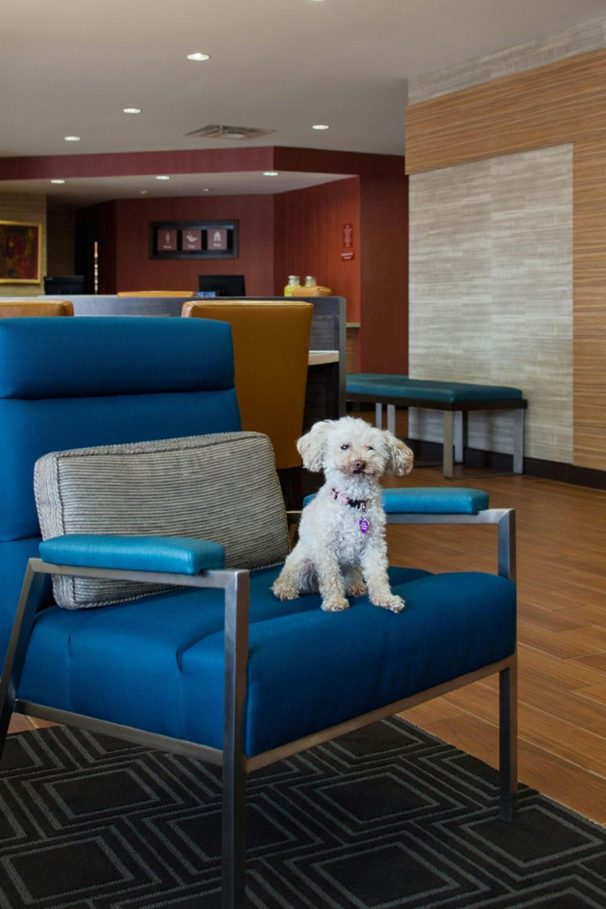 Фото TownePlace Suites by Marriott Austin Round Rock