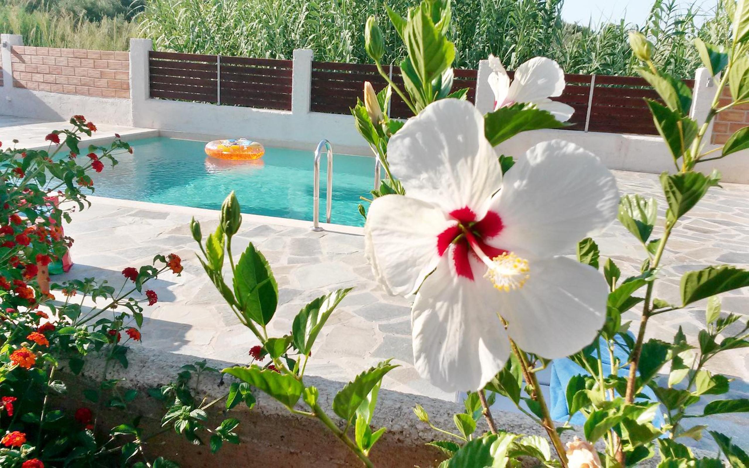 Фото Cyan Icons Villas