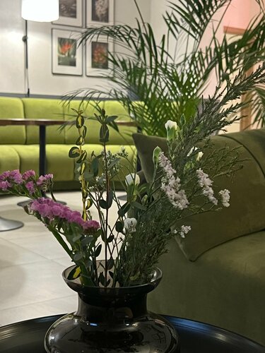 Гостиница Лето в Лосеве