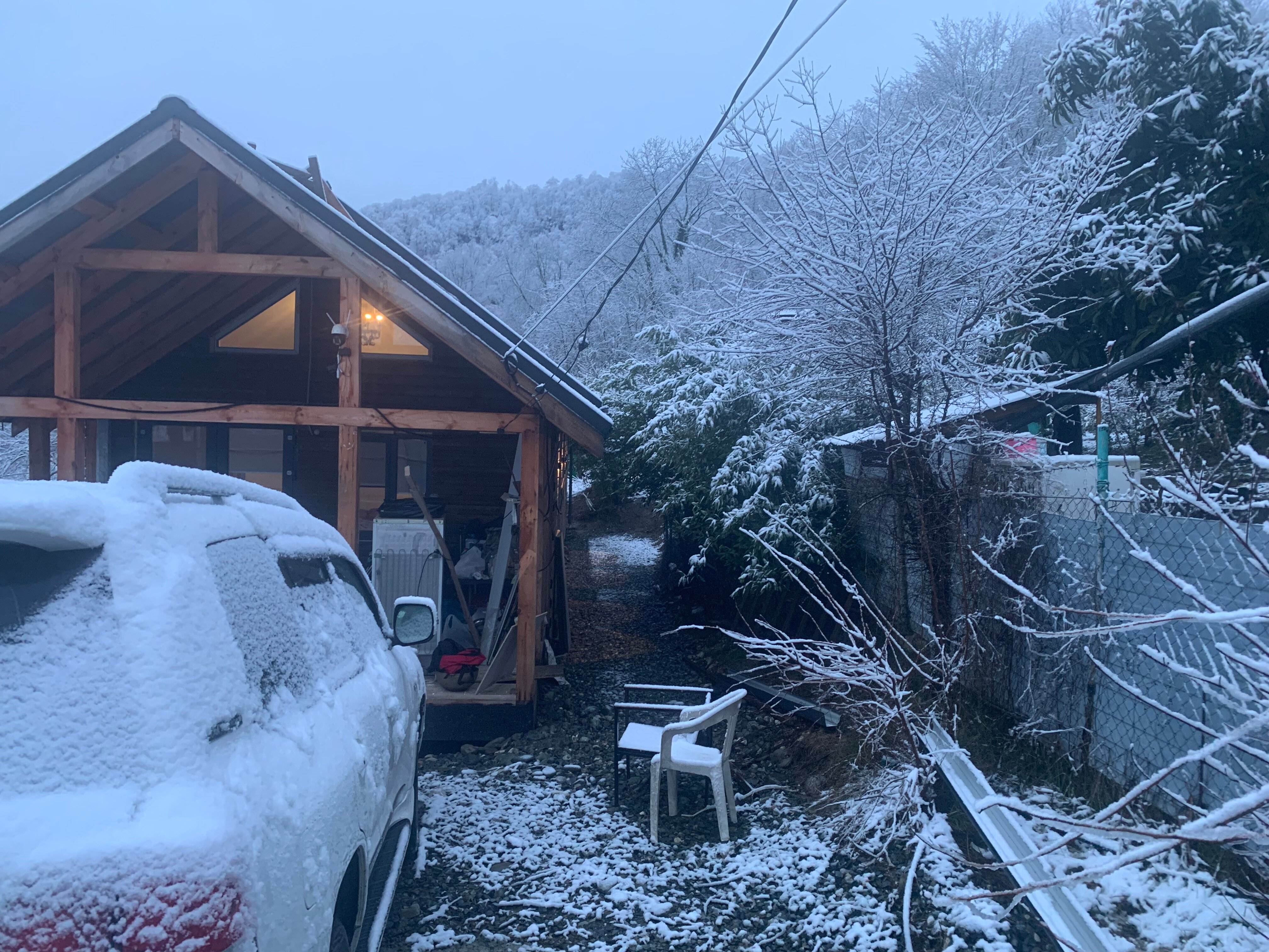 Фото Форелька