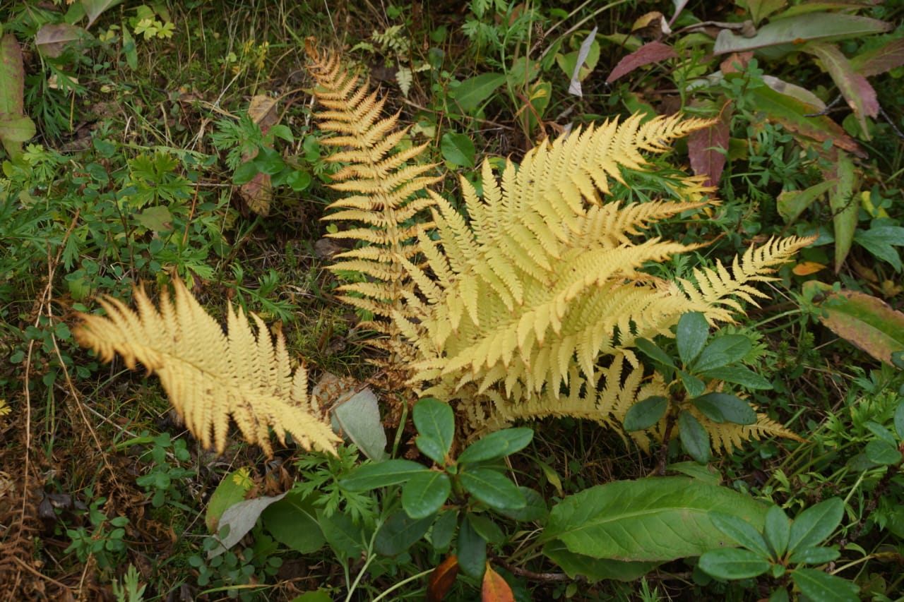 Фото АпачаКамТрэвел