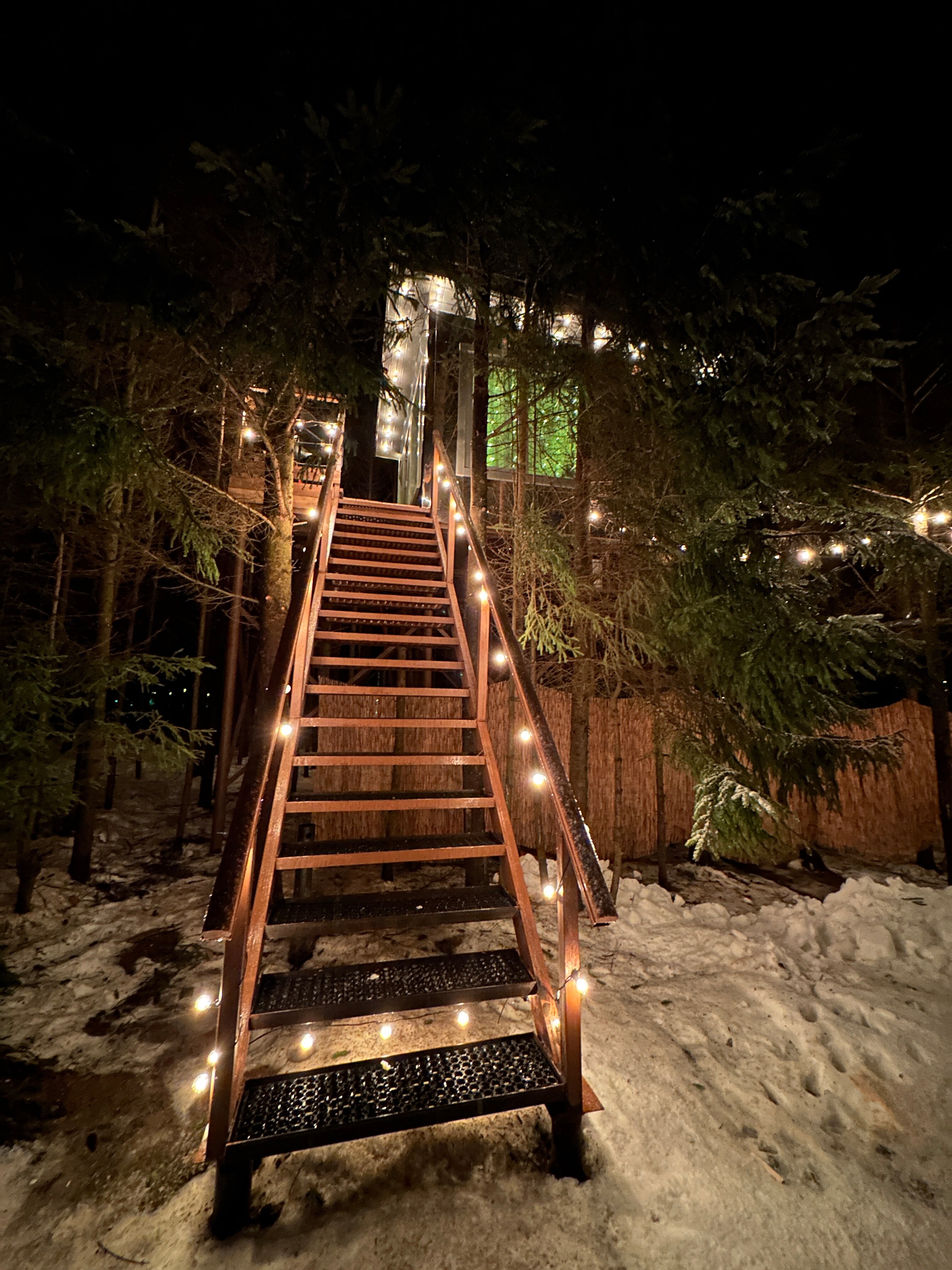 Фото Ёлкино life