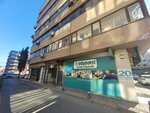 Doga Insurance (Istanbul, Gaziosmanpasa, Merkez Neighborhood, Ali Galip Bey Avenue, 15), corredor de seguros