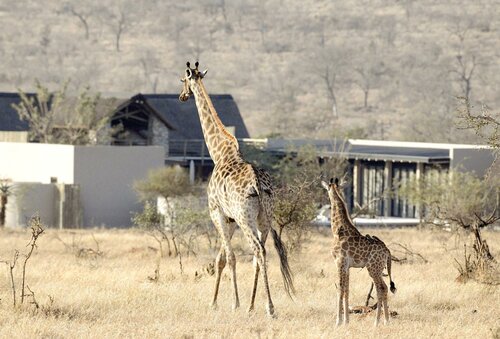 Гостиница Kruger Sunset Lodge - living with lions