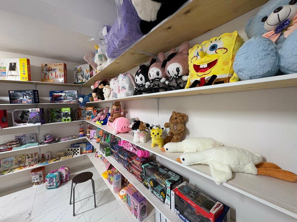 Toys and games Tomiko Toys, Astana, photo