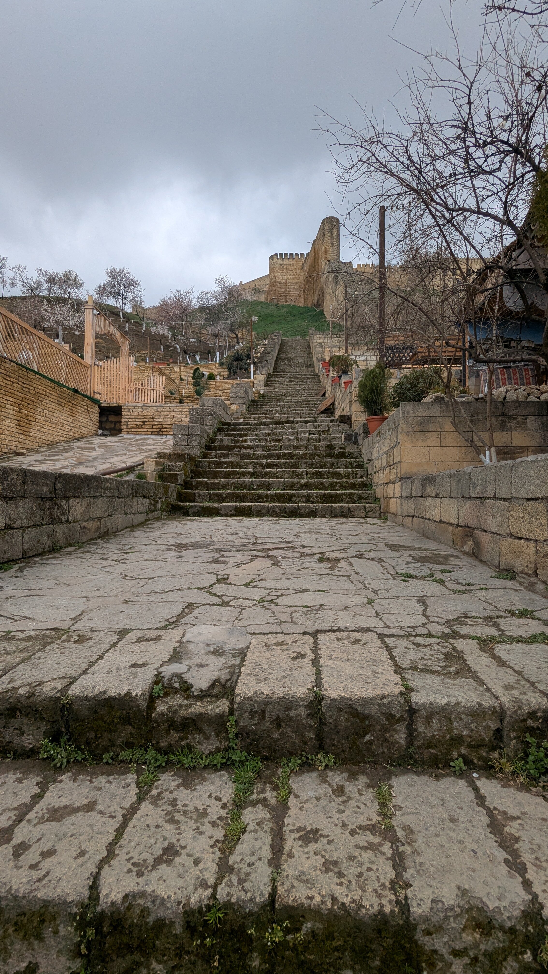 Фото Цитадель