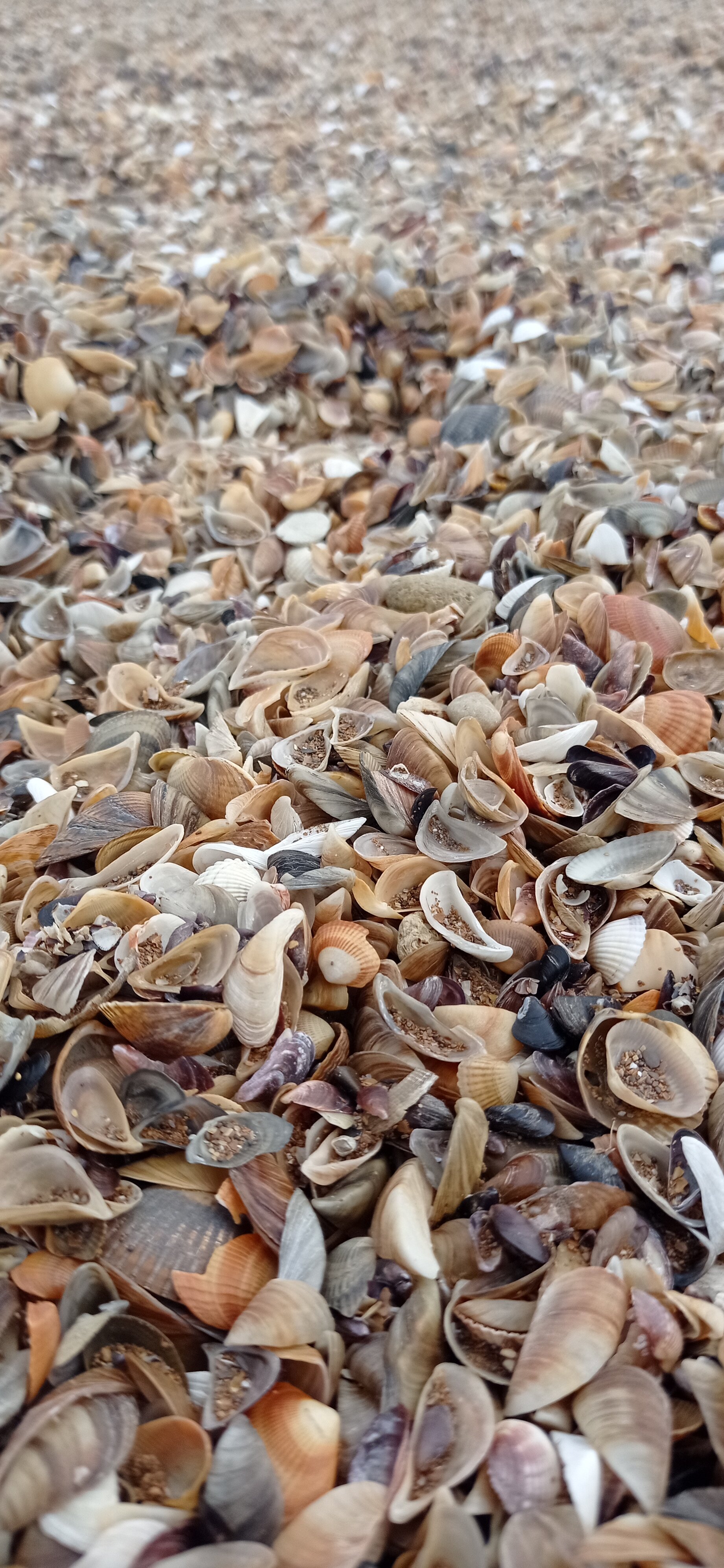 Фото Великий Каспий