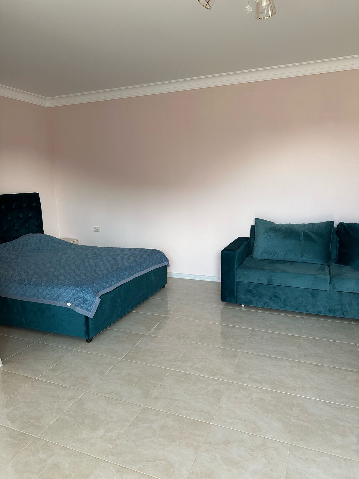 Фото Морская Звезда