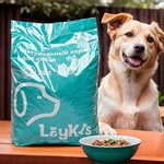 Laykis (Toshlok dead end, 167), pet shop