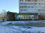 Рыжий лис (6-y kompleks, 1), showroom