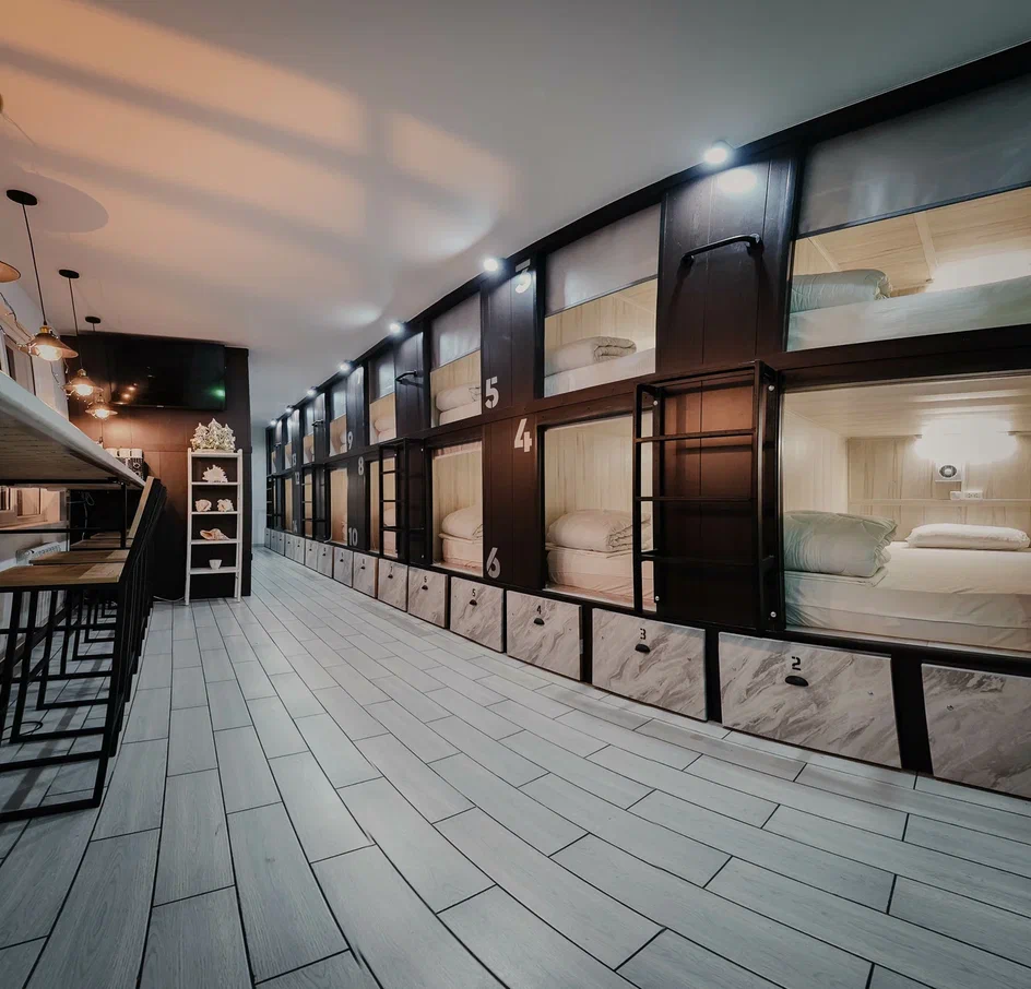 Фото Старый Лис