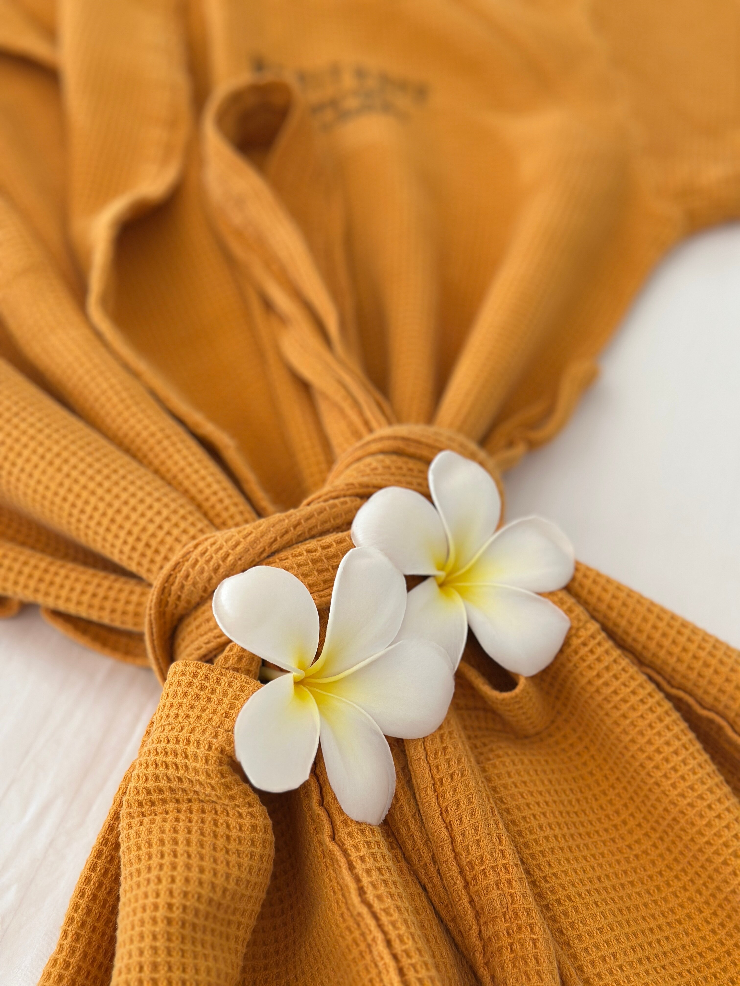 Фото Heritance Ayurveda