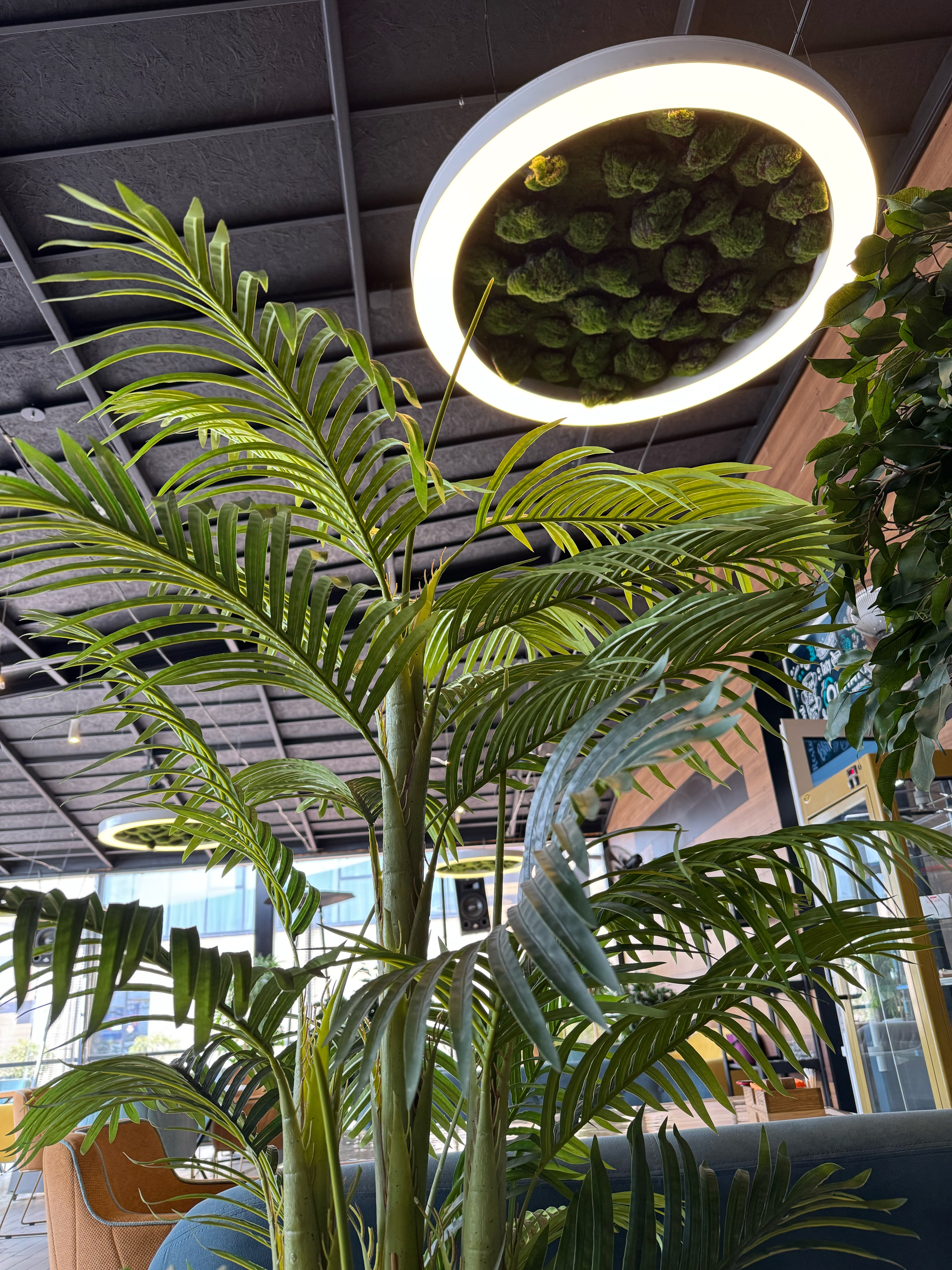 Фото Облака