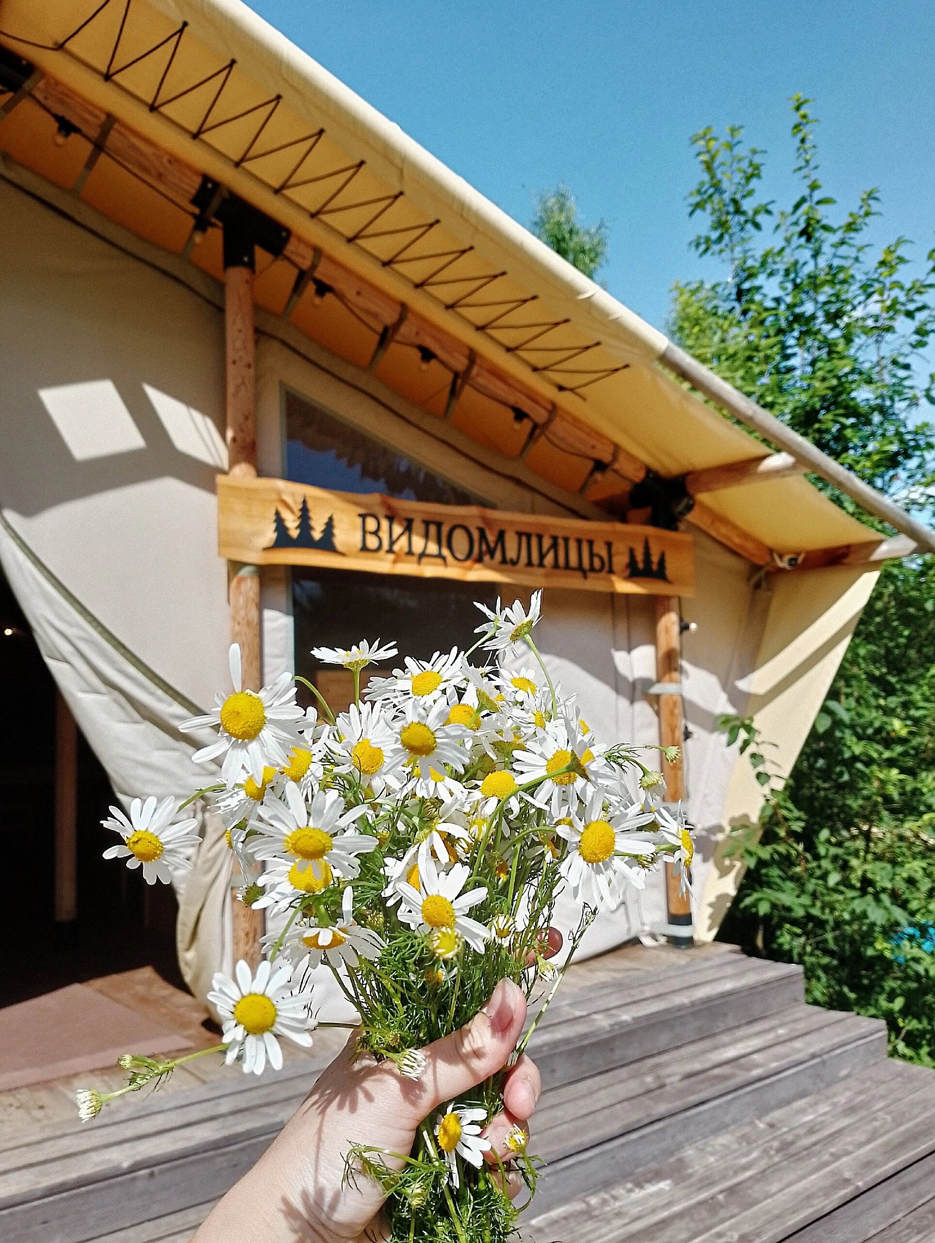 Фото Глэмпинг Видомлицы